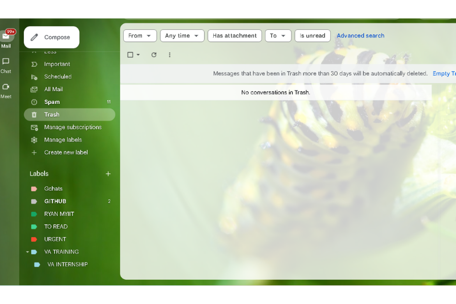 Email Management